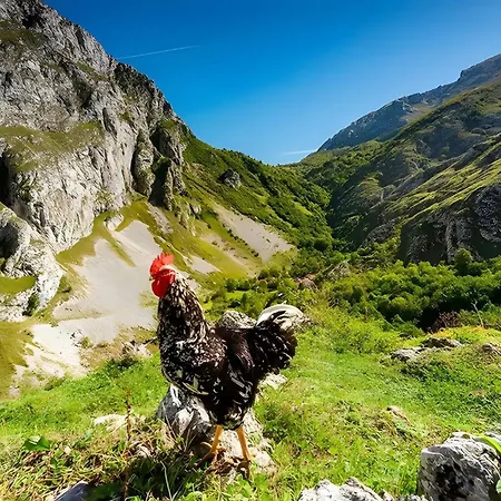 Montecaoru